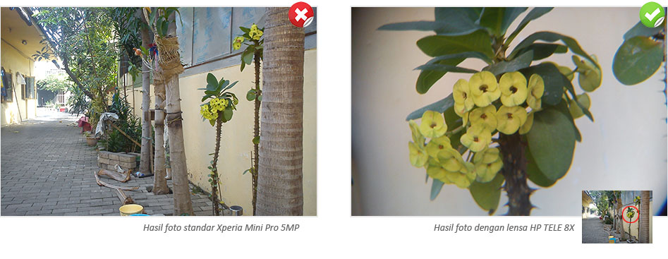 Hasil foto lensa tele hp