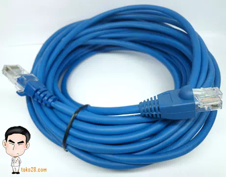 Kabel jaringan internel lokal dengan soket RJ-45