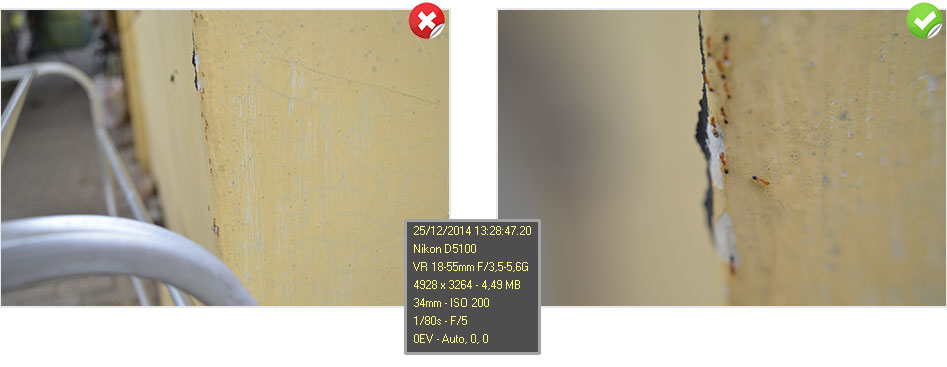 Hasil foto lensa supermacro dengan menggunakan converter lens