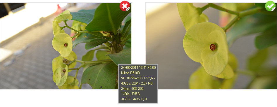 Perbandingan hasil foto dengan menggunakan lensa makro