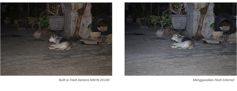 Perbandingan hasil foto menggunakan flash internal dengan flash external Nikon D5100