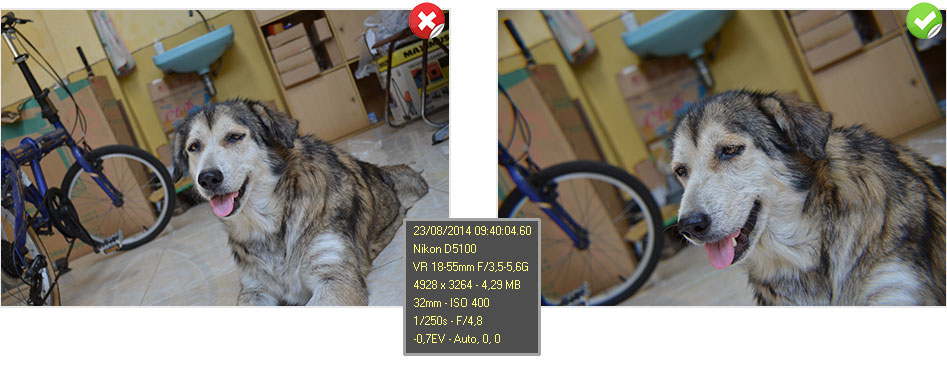 Hasil foto candid dengan lensa tele ekstension