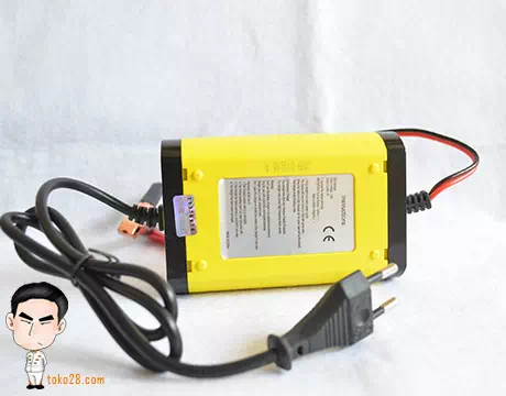 Jual alat strum aki bagus dan aman