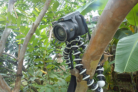 cara memakai tripod fleksibel kamera prosumer